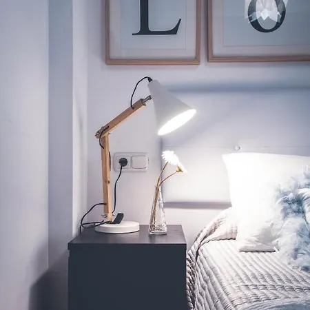 Loft De Lujo Casco Historico Apartment
